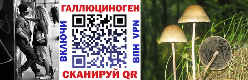Галлюциногенные грибы ЛСД Славгород